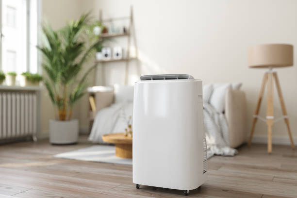 Best Energy-efficient HVAC Solutions in Agler Beach, FL